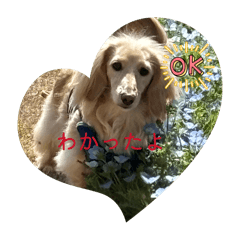 T-rururu_20260329134848