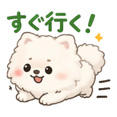 kuroook_20260328121422