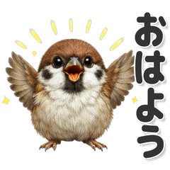 Sparrow for everyday use!