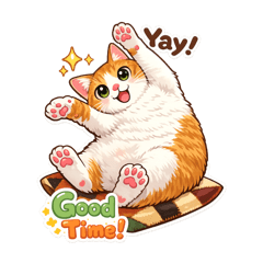 我叫妹妹～胖胖的橘貓