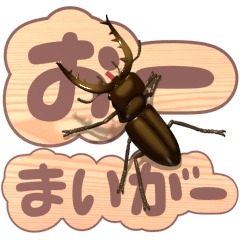 Miyamakuwagata on the smartphone 6