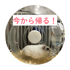 daiju_20260329184925