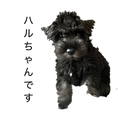 Kento_20260329185512