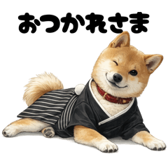 piropiro_20260329185943