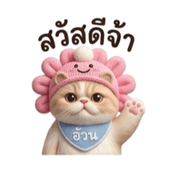 Cat Cute_20260329161033