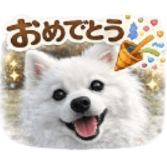 Hina Hina_20260329220358