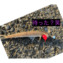 kyoko_20260329234310