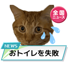 kohaku_20260329234356