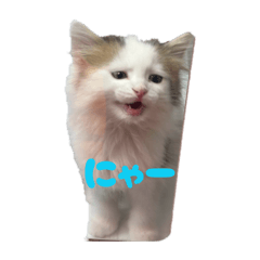 Hinyanko_20260329233932