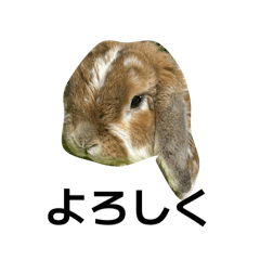 chamiramama_20260329234752