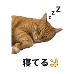 Atelier Tia_20260328161158