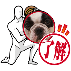 RINGOAME_20260328161415