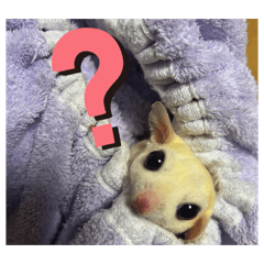 MOCHI_20260328164237