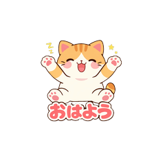 Cute Chubby Tabby Cat: Daily Life