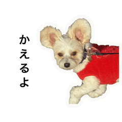 ayano_20260329151411