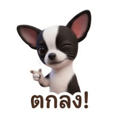 Cat Cute_20260329175140