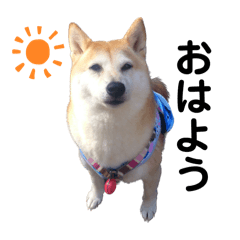 AYUMI_20260329202951