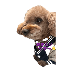 aichan_20260329205554