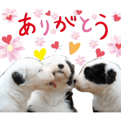 Mugi funny_20260329230650