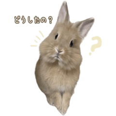 Noel the Little Bunny Stickers