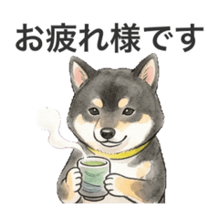 Nakamura_20260328183950