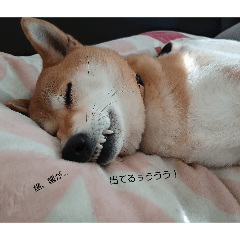 omuraisu_20260328193242