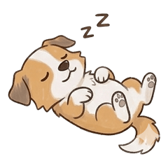 Daily Life of a Tiny Border Collie-2-