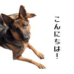 Kotatsu_20260328210343