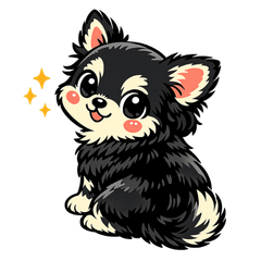 Chibita, a playful little dog