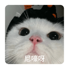 咕咕嚕咪
