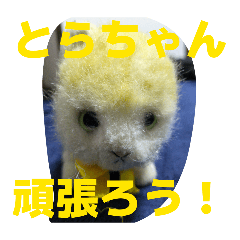 telless_20260329211245