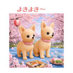 Rarami_20260329211157