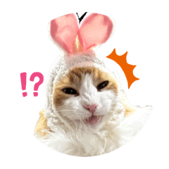 naameey_20260330110916