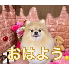 Nobita_20260330084403