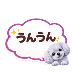 Jasy!_20260330112522