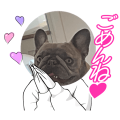 Momiji10048_20260329192353