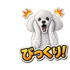 Jasy!_20260330112105