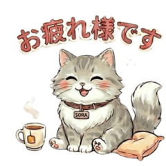 SORA The Gym's Mascot Cat version2