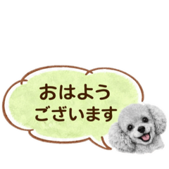 Jasy!_20260330112355