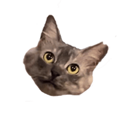 My Pretty Cat Vivi's stamp