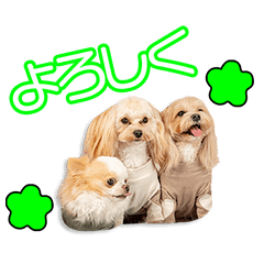 My beloved Milk&Moca&Latte