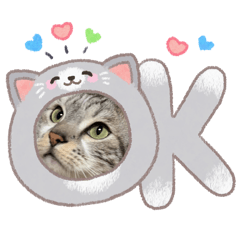 Simple Everyday Cat Stickers_56