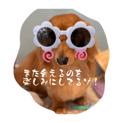 rinrin_20260328224340