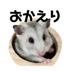 aosimple_20260328224353