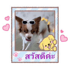 kikuchi_20260330002204