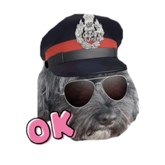 MichaelGoto_20260330002135