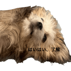 Mai.t_20260330002845