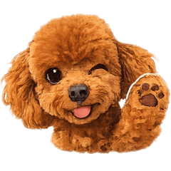 10563_20260329221807