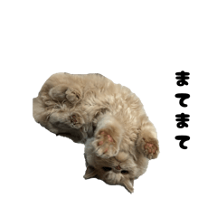 Mizuki_20260330104516