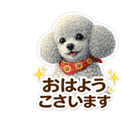 Jasy!_20260330105646